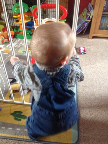 Baby cruising on playpen Baby cruising on playpen