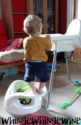 The small one standing on a baby seat The small one standing on a baby seat