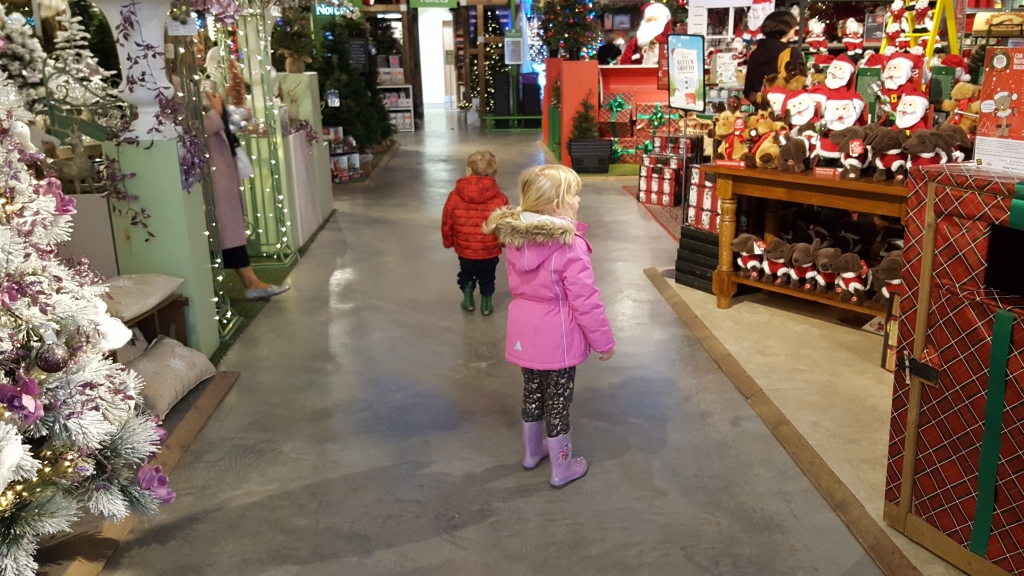 Christmas at the garden centre