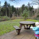 A festive trip to Bluestone Wales and the Kingdom of the Elves 2016