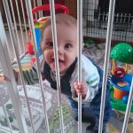 Fare thee well, 2016: My review of the year