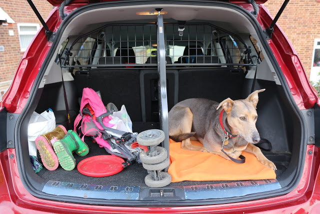 Car dog guard by Travall: A review of a dog guard and divider in a Qashqai