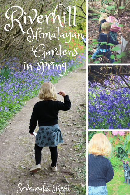 An Easter bunny hunt and bluebells at Riverhill Himalayan Gardens near Sevenoaks - things to do with children in West Kent in Spring An Easter bunny hunt and bluebells at Riverhill Himalayan Gardens near Sevenoaks - things to do with children in West Kent in Spring
