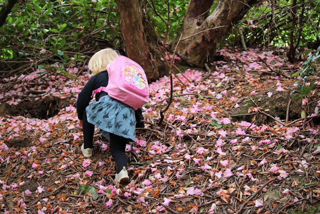 An Easter Bunny hunt and Bluebells at Riverhill Himalayan Gardens, Sevenoaks, Kent