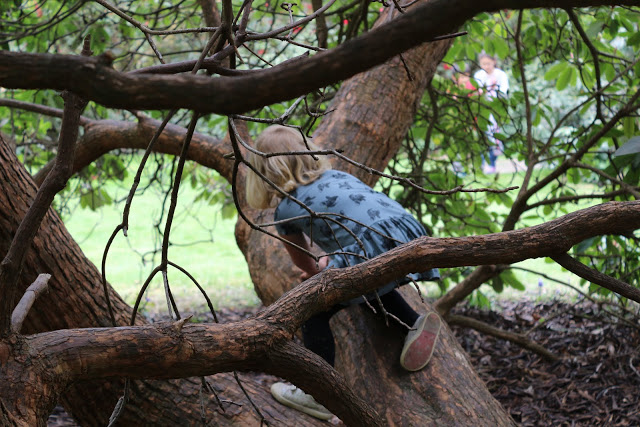 An Easter Bunny hunt and Bluebells at Riverhill Himalayan Gardens, Sevenoaks, Kent