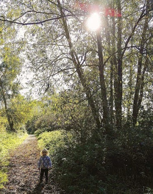 Sevenoaks Wildlife Reserve, Sevenoaks