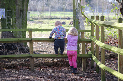 Nature Trail, Coolings Green and Pleasant, Knockholt Nature Trail, Coolings Green and Pleasant, Knockholt