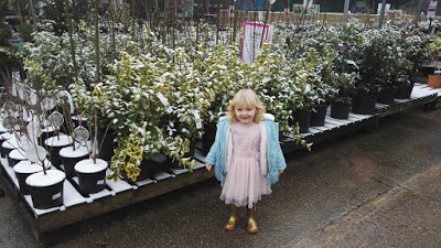 Polhill Garden Centre, Sevenoaks Polhill Garden Centre, Sevenoaks