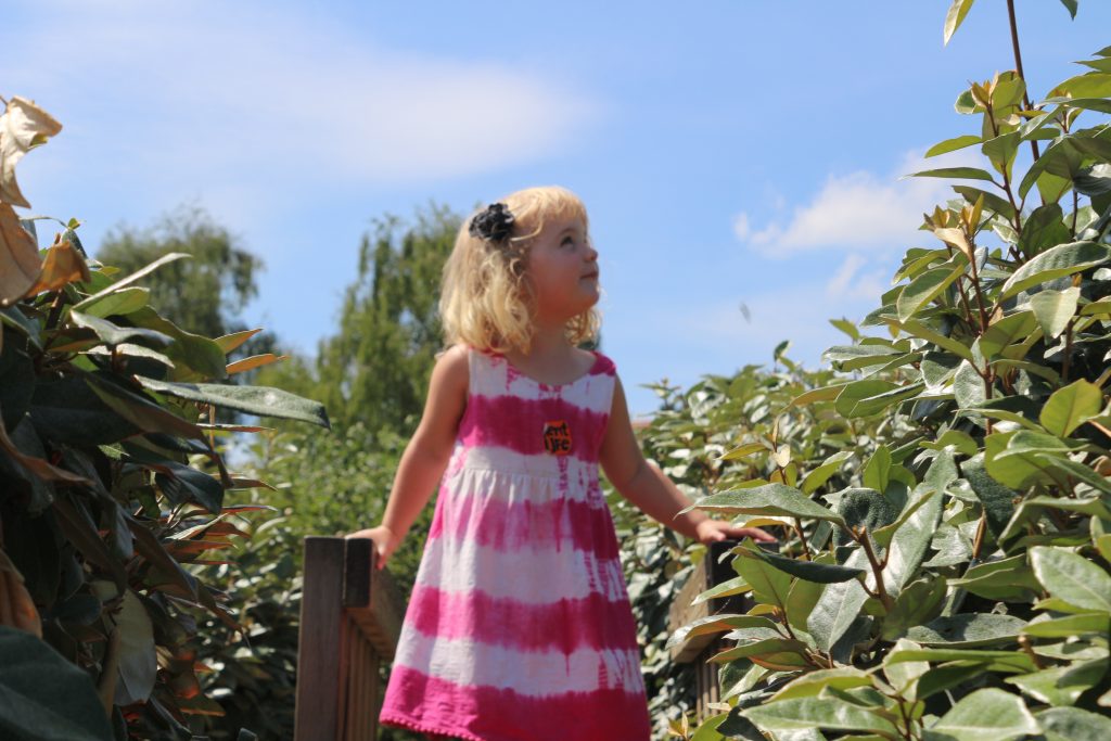 Summer with small children