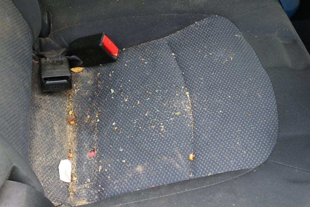 One mucky car seat