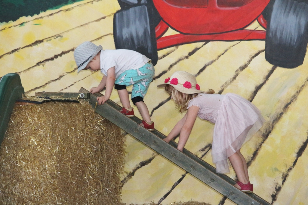 Things to do in Dorset with kids: Farmer Palmer's Farm Park