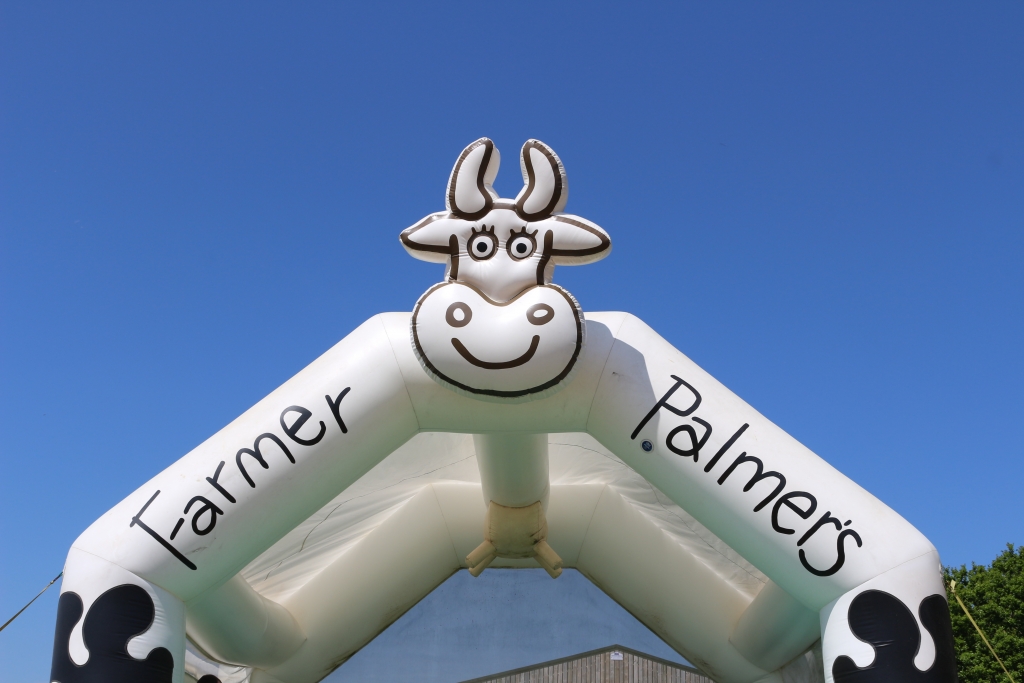 Things to do in Dorset with kids: Farmer Palmer's farm park