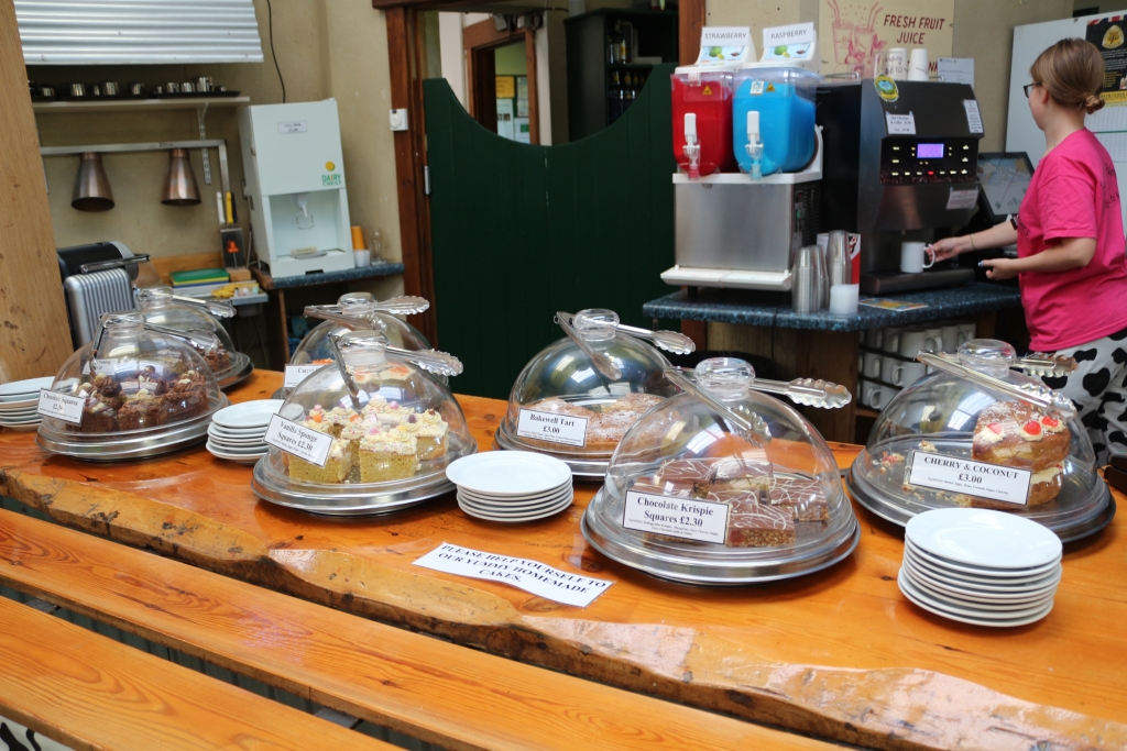 Farmer Palmer's Farm Park - cake