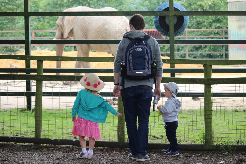 Howletts Wild Animal Park Animals of the Ice Age (209)