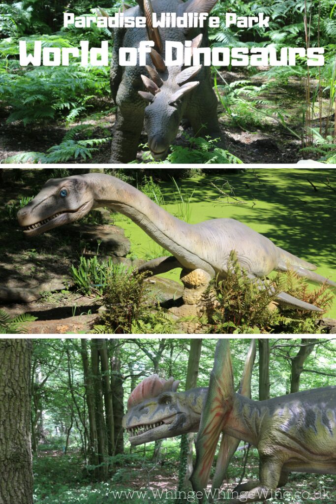 World of Dinosaurs at Paradise Wildlife Park in Broxbourne, Hertfordshire, UK. Dinosaurs in the woods perfect for dino fans little and big! New dinosaur experience close to London #daysout #daysoutwithkids #dinosaurs #zoo #reviews #paradisewildlifepark #dinosaurexperience #thingstodowithkids