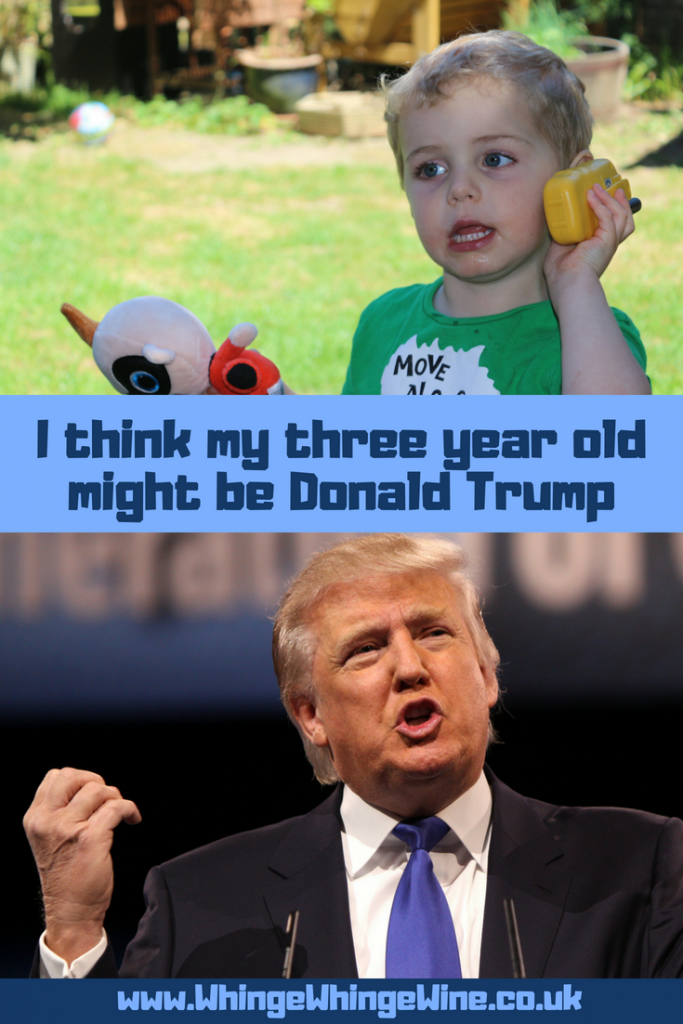 I think my three year old might be Donald Trump: Here are 17 reasons that President Donald Trump is a lot like a preschooler or toddler #trump #donaldtrump #parenting #momhumor #mumhumour #parentinghumour #impeach45 #Toddlertrump #trumptantrums