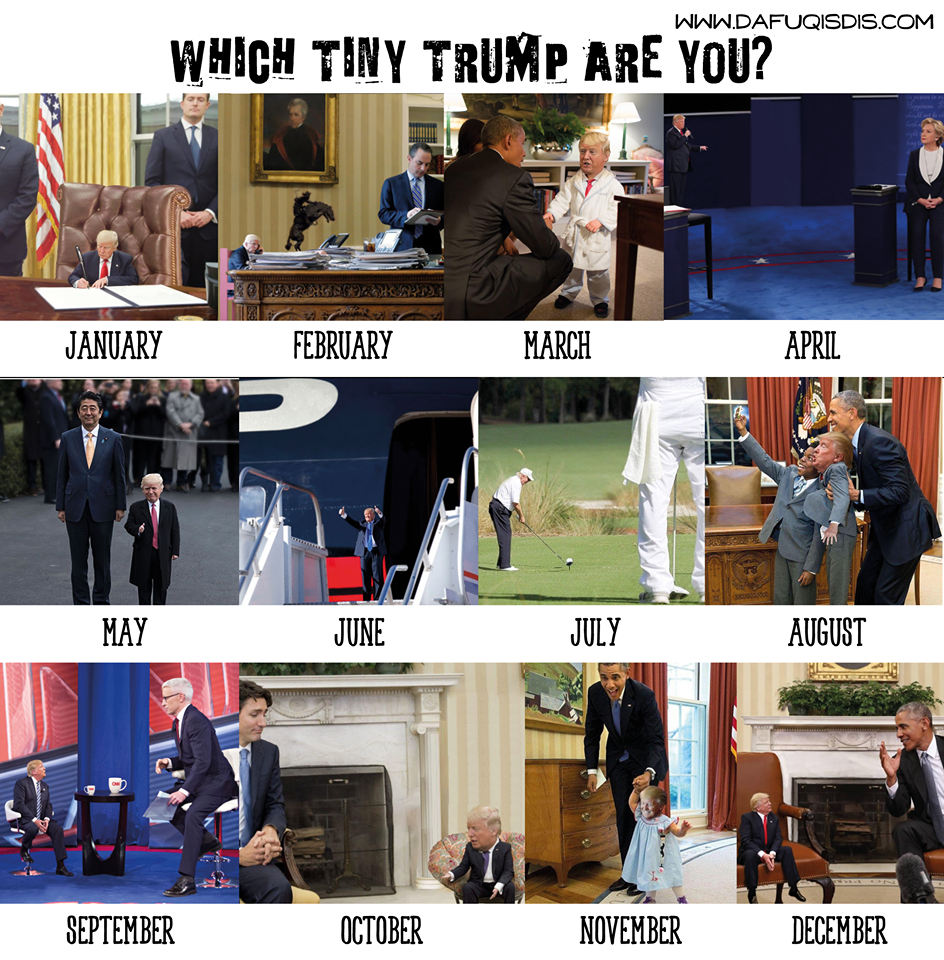 which tiny trump are you meme