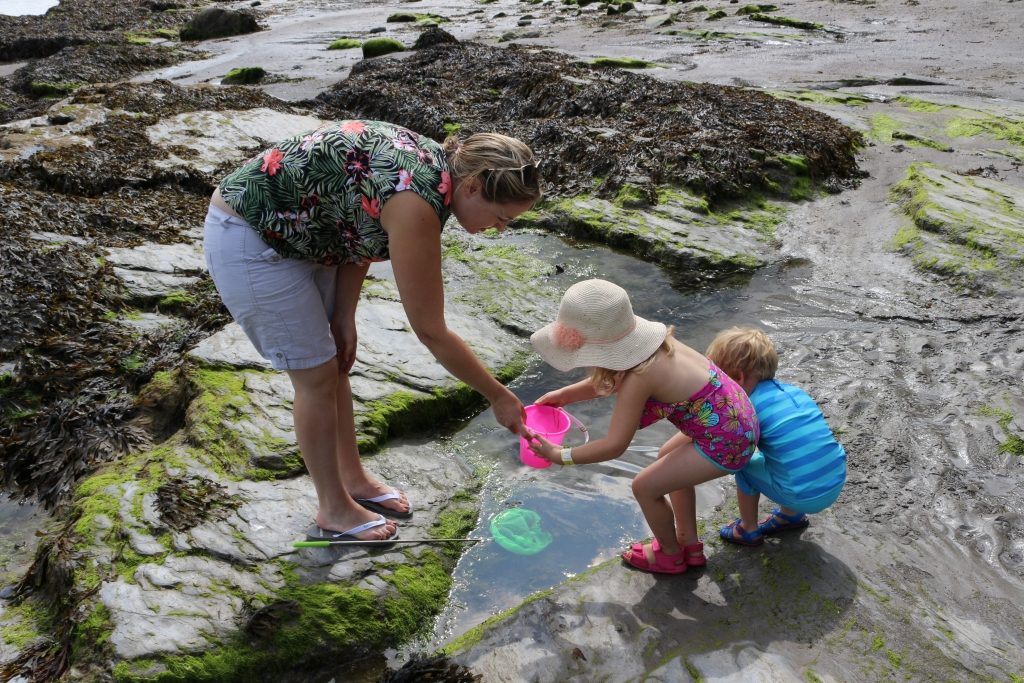 John Fowler South Bay Holiday Park Brixham Devon (152) St Mary's Bay