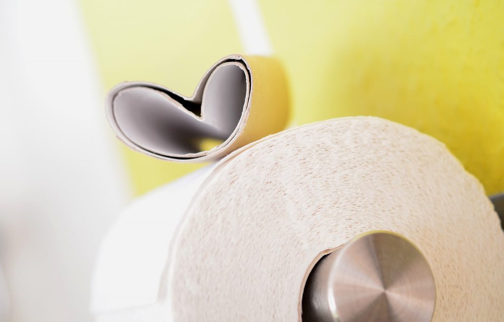 Loo roll - things to remember to take on your British holiday