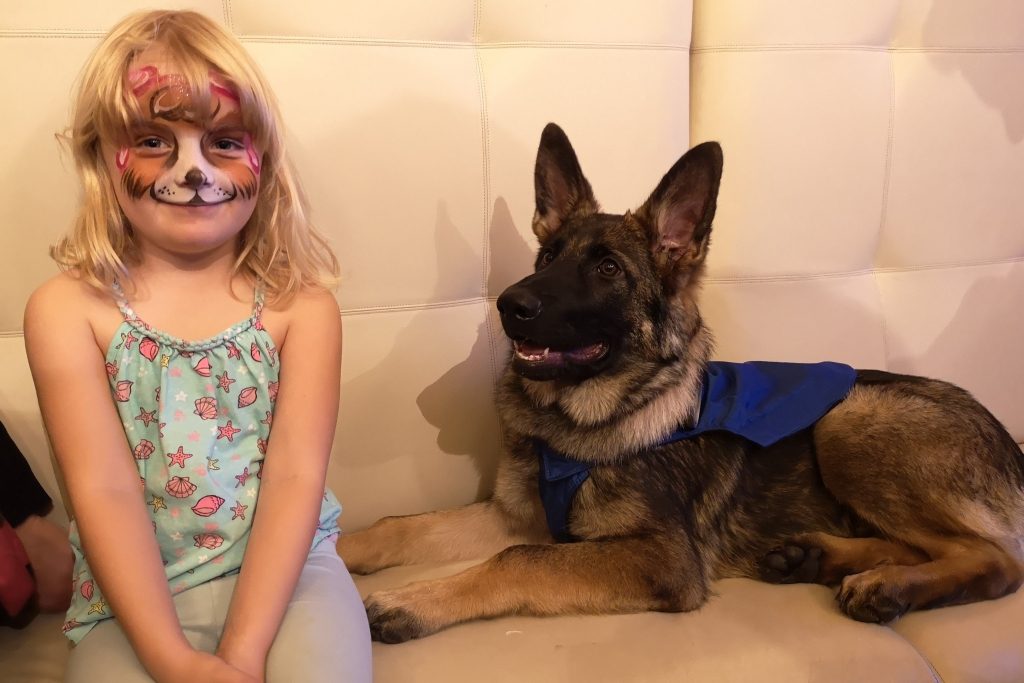 Paw Patrol - I have some questions