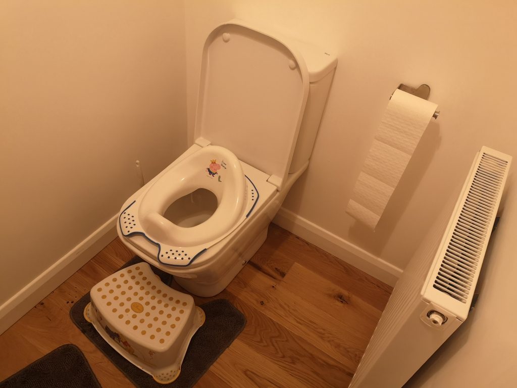 Toilet with kids