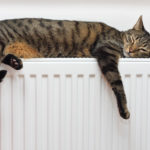 Keeping your home warm: Tips for cold snap survival