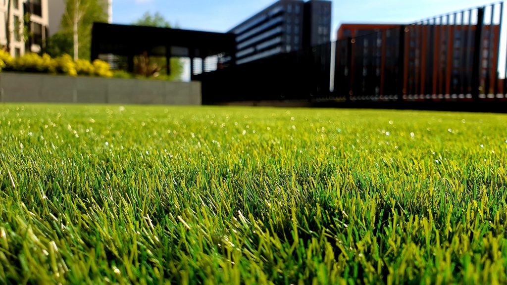 Lawn