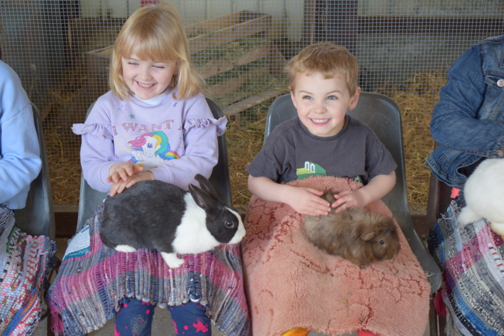 Animal Farm Adventure Theme Park Somerset (23)