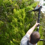 VonHaus 20v Cordless Pole Hedge Trimmer review (23)