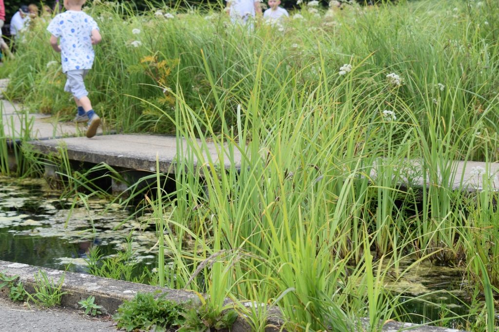 Water maze at Hever