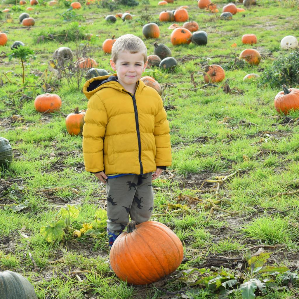PYO Pumpkin picking Kent Bidborough Four Winds Farm