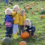 Riverhill Himalayan Gardens Pumpkin Hunt