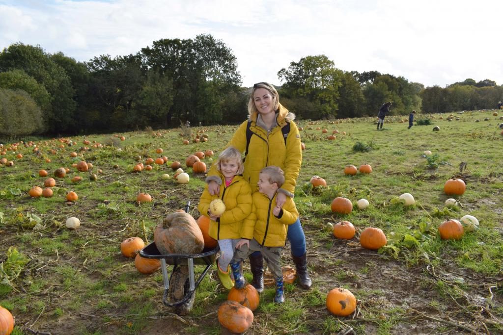 Pumpkin Patch at Four Winds Farm