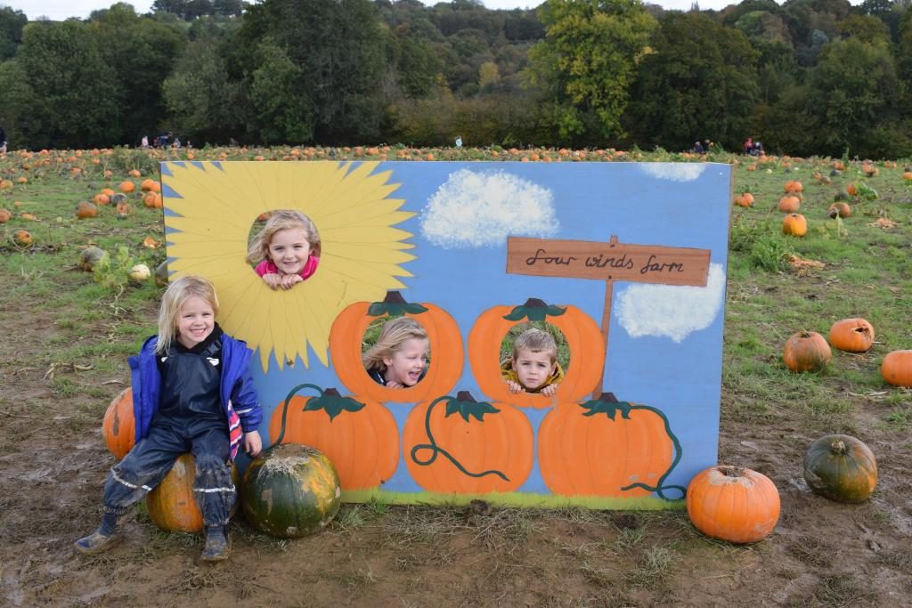 PYO Pumpkin picking Kent Bidborough Four Winds Farm