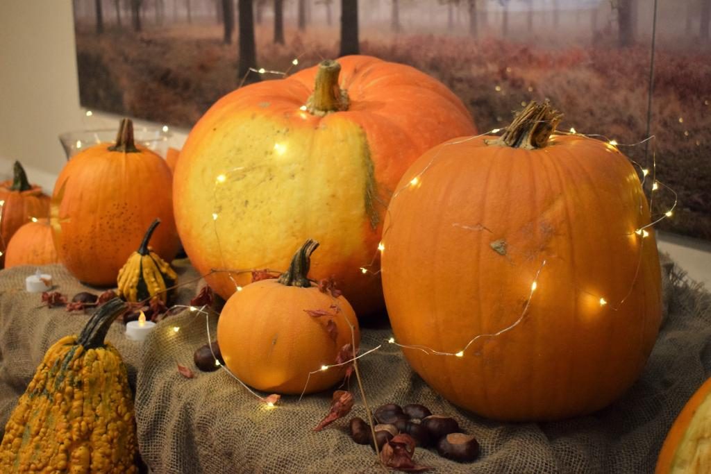 Riverhill Himalayan Gardens Pumpkin Hunt Grotto