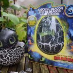 Hatching Dragons review