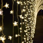 Christmas at Bedgebury 2019 Christmas lights in Kent