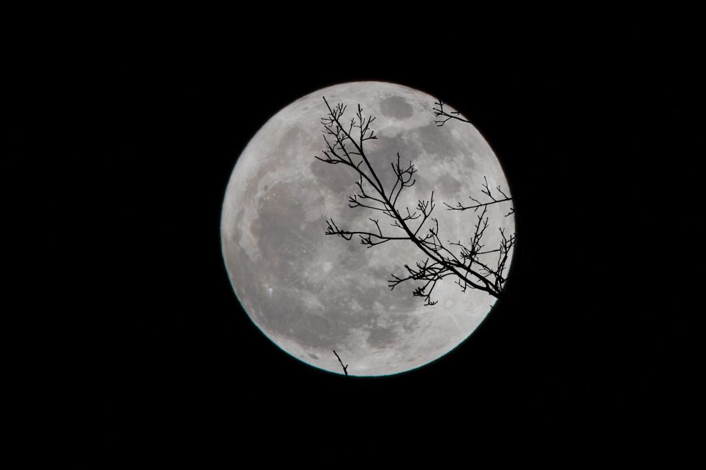 moon - ghost walk for hen do