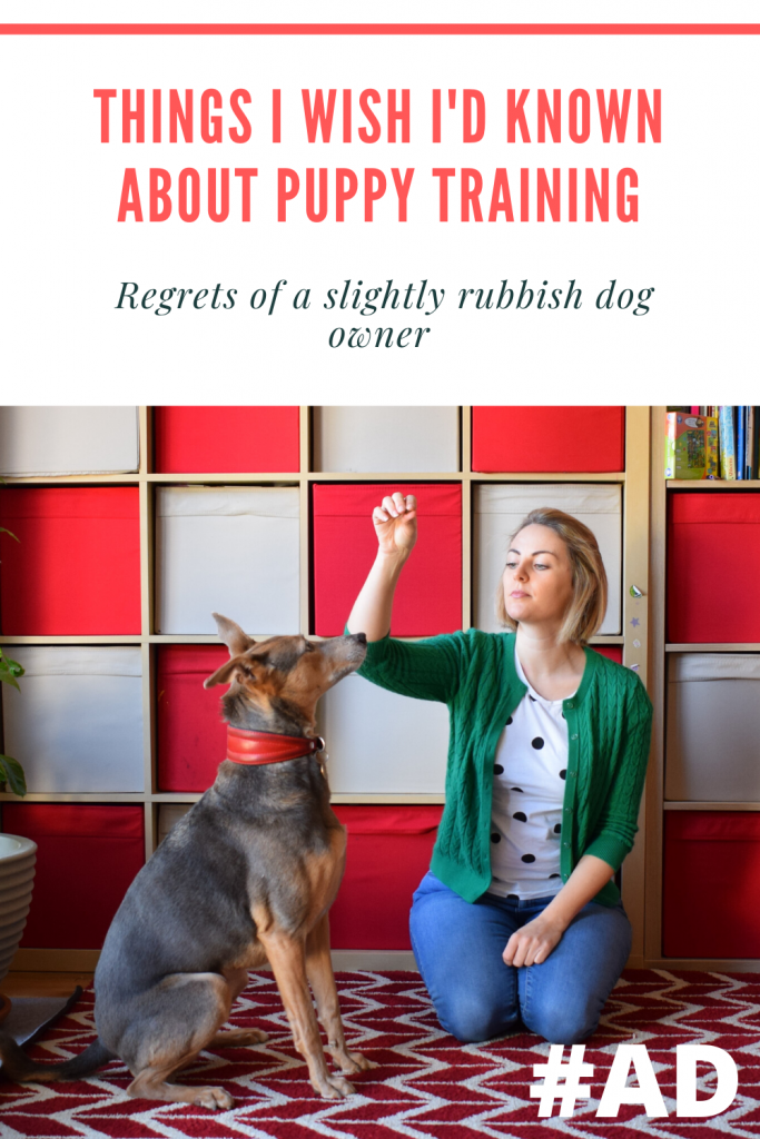 AD - Paid partnership with James Wellbeloved.
What do you wish you’d known about puppy training Here are the things that are super important and I wish I’d known before diving in!
#dogtraining #puppytraining #puppy #dog