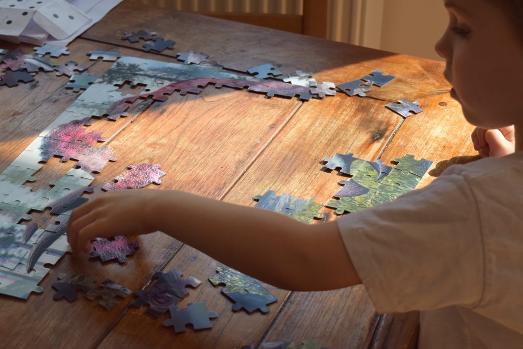 3D dinosaur Jigsaw