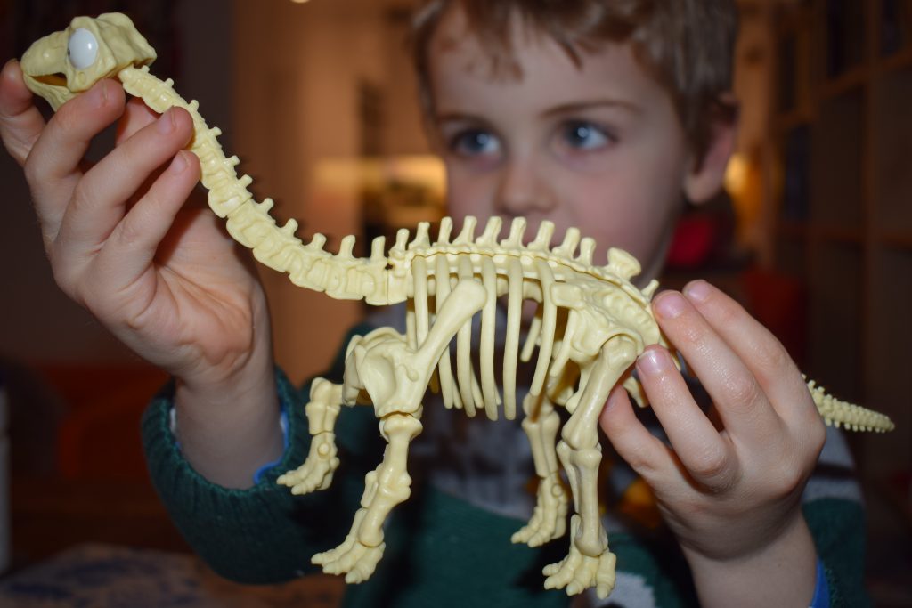 Meet Crazy Bone the Brachiosaurus!