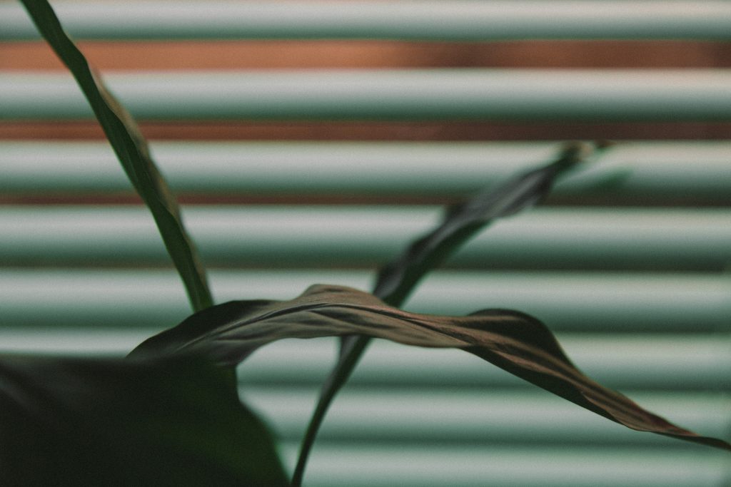 Blinds
