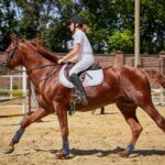 main types of horse riding saddles