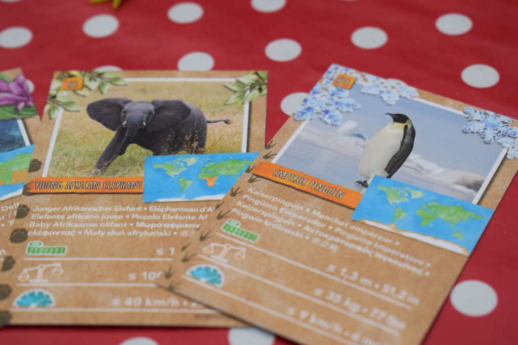 PLAYMOBIL WILTOPIA Young Seal Toy – Sustainable Material, Includes Accessories & Animal Trading Card With QR Code - View #8