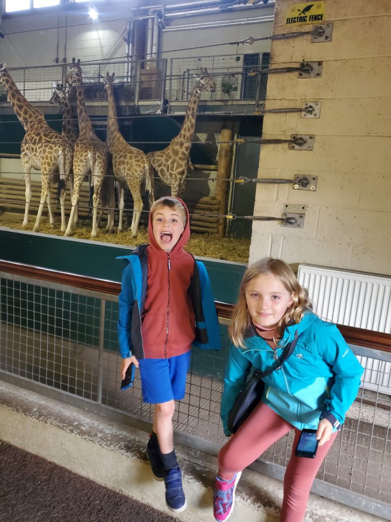 Eight plastic free gift ideas for kids aged 6-8