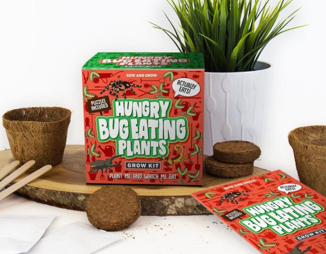 Eight plastic free gift ideas for kids aged 6-8