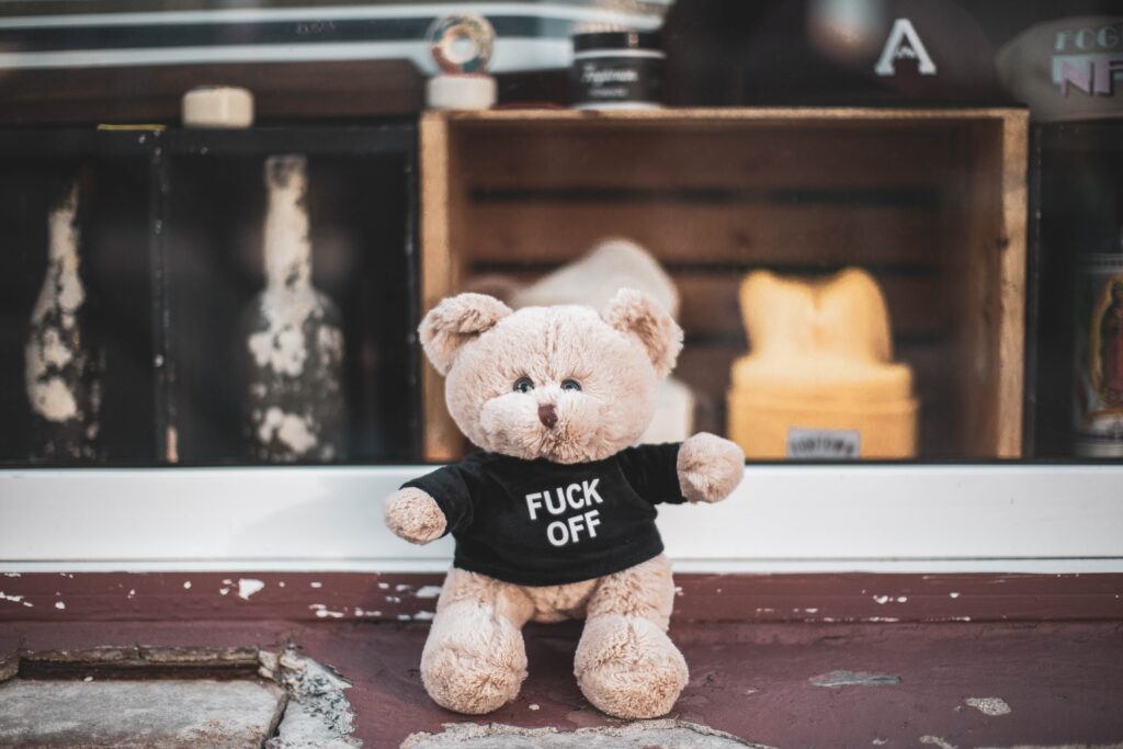 sweary teddy