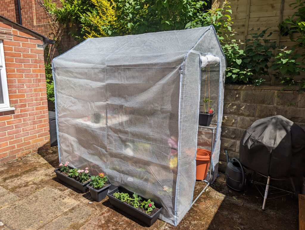 little plastic walk-in greenhouse was only £40 from Wilkos