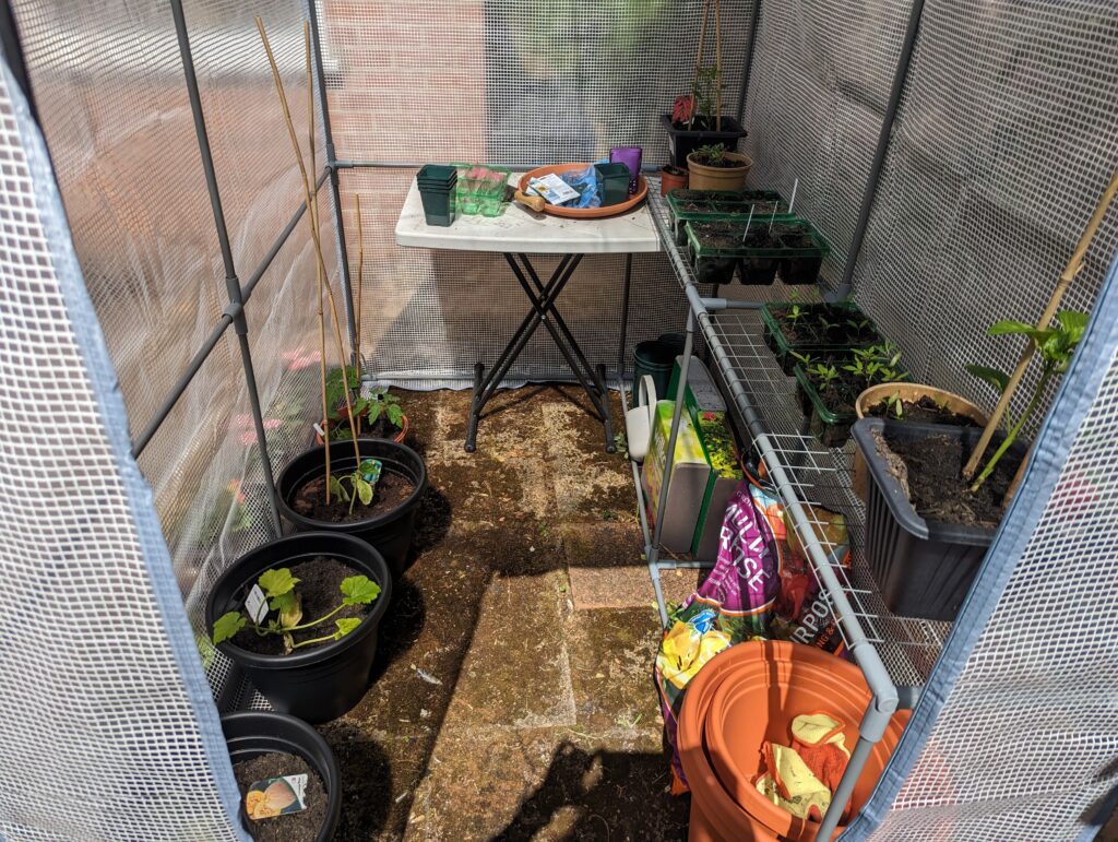 little plastic walk-in greenhouse was only £40 from Wilkos