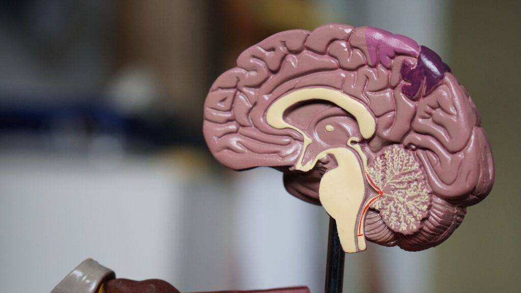 How much do you know about neurodevelopmental disorder Attention Deficit Hyperactivity Disorder (ADHD)? The stereotypes that just aren't true